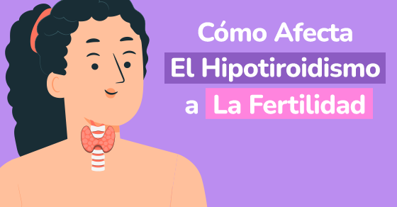hipotiroidismo y fertilidad