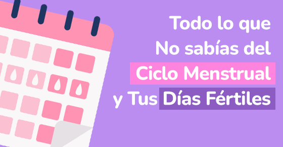 ciclo menstrual y dias fertiles