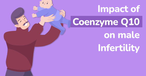 impact of coenzyme q10 on male infertility