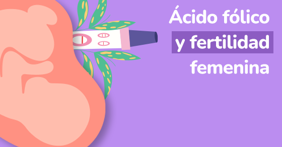 ácido fólico y fertilidad femenina