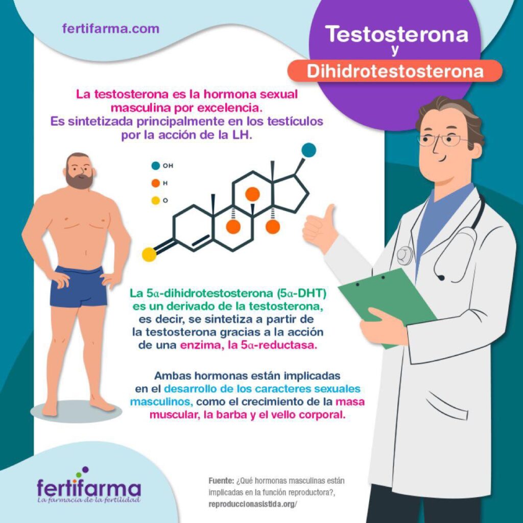 Testosterona, dihidrotestosterona y su relación con la fertilidad masculina