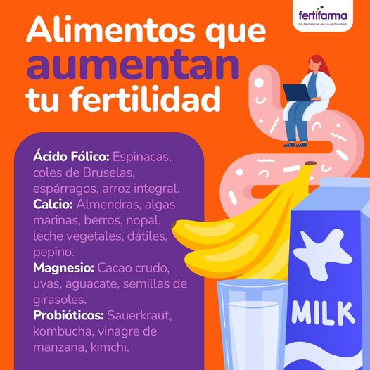 alimentos que aumentan la fertilidad