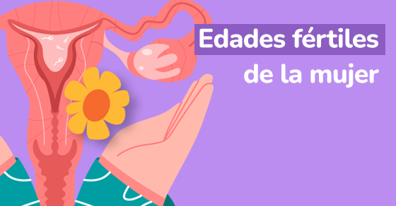 edades fertiles de la mujer