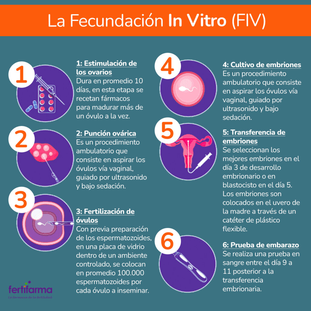 la fecundación In Vitro (FIV)