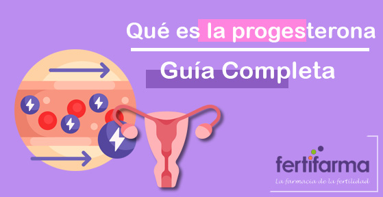 Qué es la progesterona