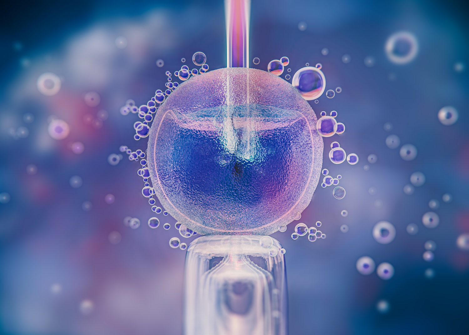 Fecundación In Vitro: lo que debes saber