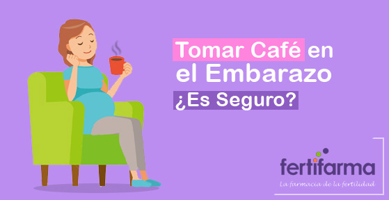 tomar café en el embarzo