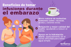 Infusiones y embarazo: Cuáles son seguras tomar
